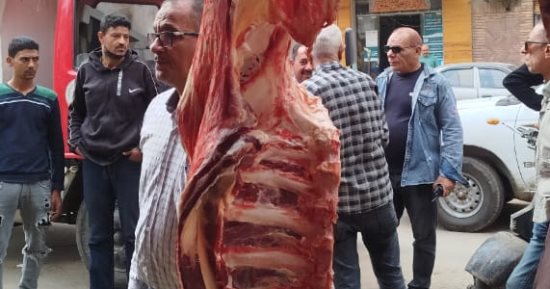 بيطرى الغربية: ما ضبط بمحل جزارة بالمحلة لحوم يشتبه فى صلاحيتها وليست لحوم كلاب