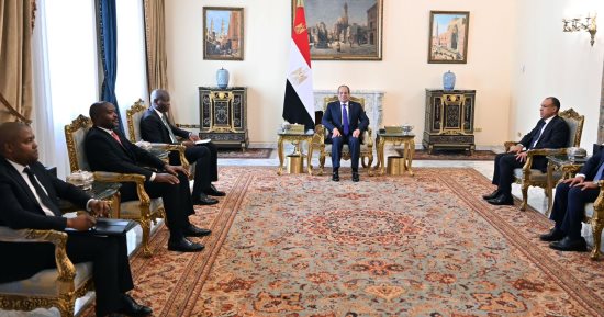 الرئيس السيسى يستقبل وزير العلاقات الدولية بجنوب أفريقيا ويتلقى رسالة شفهية من "سيريل رامافوزا".. ويستعرض جهود دعم القضية الفلسطينية.. ويؤكد أهمية العمل المشترك لوضع أولويات تنمية أفريقيا على الأجندة الدولية