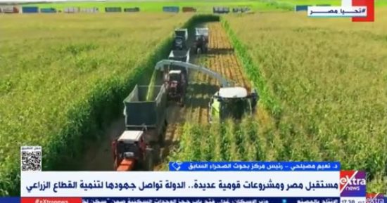 التليفزيون هذا المساء.. نعيم مصيلحي: الدولة وضعت رؤية لزيادة الرقعة الزراعية