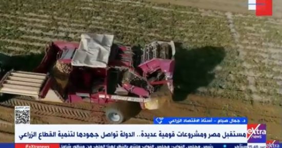 أستاذ اقتصاد: الدولة تعمل على تحقيق الأمن الغذائى من خلال المشروعات الزراعية