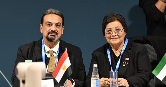 "الصحة": مصر ضمن الدول الساعية للتعامل مع الآثار الصحية المرتبطة بالمناخ