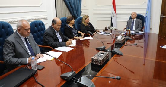محافظ القاهرة يتابع تشجير منطقة المعادى