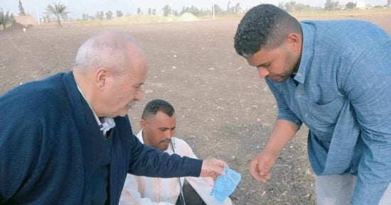 انطلاق زراعة محصول الكتان بغيطان الشرقية.. مدير عام الزراعة: إجمالى المستهدف زراعته 2000 فدان بزيادة 400 عن العام الماضى.. تجود زراعته فى التربة الطينية الخفيفة.. ويدخل فى صناعة المنسوجات وقلوع المراكب