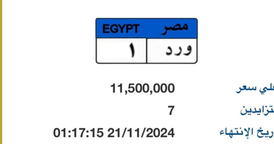 سعر لوحة "و ر د - 1" المميزة يصل لـ11 مليون جنيه و7 مزايدين يتنافسون عليها