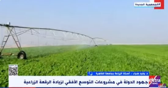خبير: الممارسات الزراعية الجيدة تمكن الدولة من سد الفجوة الغذائية