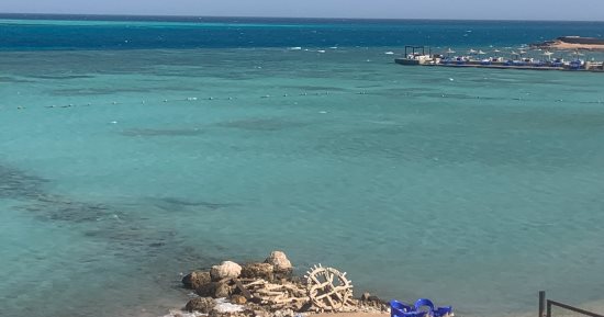 اضطراب فى حالة البحر الأحمر واستمرار غلق ميناء الغردقة البحرى.. فيديو