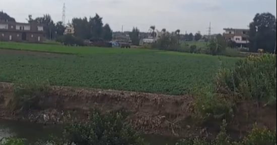 طقس مائل للبرودة نهارا بارد ليلا تعرف على درجات الحرارة بكفر الشيخ