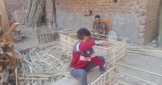 هنا منبع الصنعة.. 500 أسرة تعمل فى صناعات وبيع الجريد بقنا "فيديو"