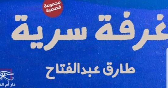 مناقشة “غرفة سرية” للإعلامي طارق عبد الفتاح بمكتبة القاهرة الكبرى.. الخميس