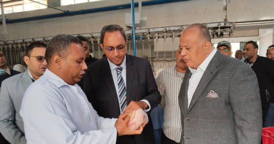 محافظ قنا يشهد بدء ذبح دفعة جديدة من الدواجن بمشروعات الأمن الغذائى   