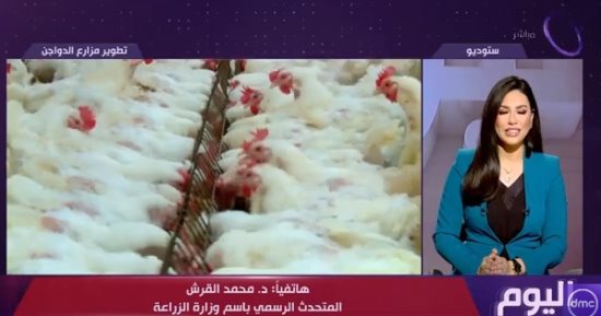 التليفزيون هذا المساء: متحدث الزراعة: قروض ميسرة لمزارع الدواجن لعدم توقف الإنتاج خلال الشتاء
