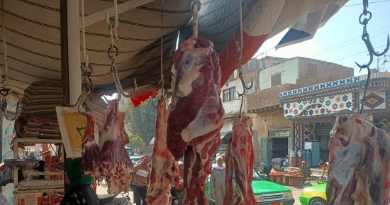 اللحمة البتلو بـ300 جنيه فى مبادرة ضد الغلاء بالمنوفية.. فيديو