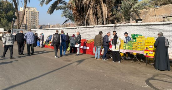 عروض على الخضروات والفواكه بسوق اليوم الواحد فى إمبابة.. فيديو