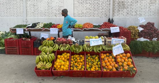 محافظة الجيزة تفتتح سوق اليوم الواحد بشارع مترو الساقية فى العمرانية.. صور