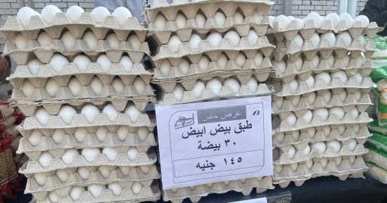 سوق اليوم الواحد بالعمرانية يطرح بيض المائدة بـ145 جنيهًا