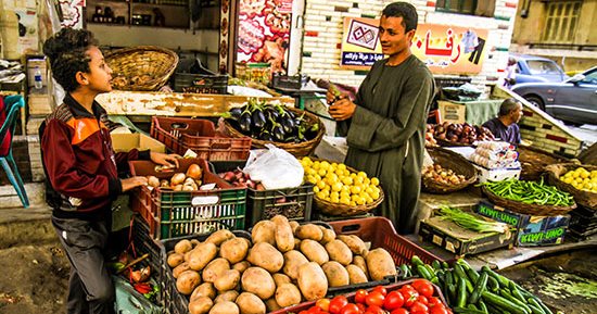 أسعار الخضراوات والفاكهة اليوم الثلاثاء 24-12-2024 بمنافذ وزارة التموين