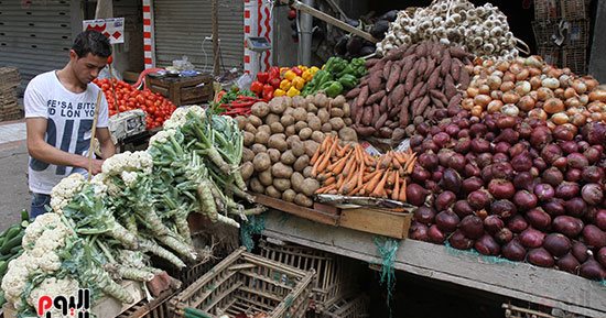 أسعار البصل اليوم السبت 4-1-2025 فى منافذ وزارة التموين
