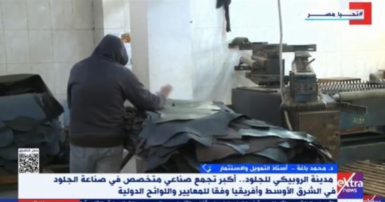 أستاذ تمويل: الدولة تستهدف تحقيق مليار دولار سنويا من صناعة الجلود 