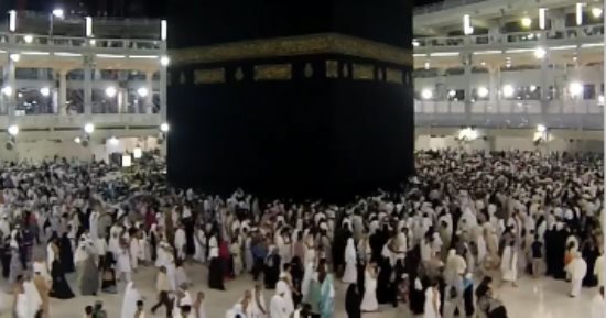ضبط 6 شركات سياحة غير مرخصة تنصب على المواطنين