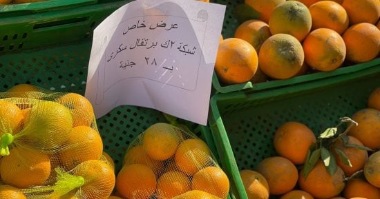 أسعار البرتقال واليوسفى اليوم الإثنين 16-12-2024 فى أسواق اليوم الواحد