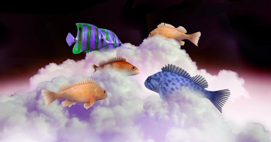 تفسير حلم السمك 8 دلالات أشهرها الرزق الواسع والذرية