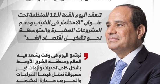 أبرز تصريحات الرئيس السيسى خلال كلمته بالقمة الـ11 للدول الثمانى.. إنفوجراف