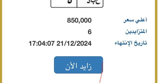 تنافس 6 أشخاص على لوحة سيارة "ع ب د - 5" المميزة يرفع سعرها لـ850 ألف جنيه