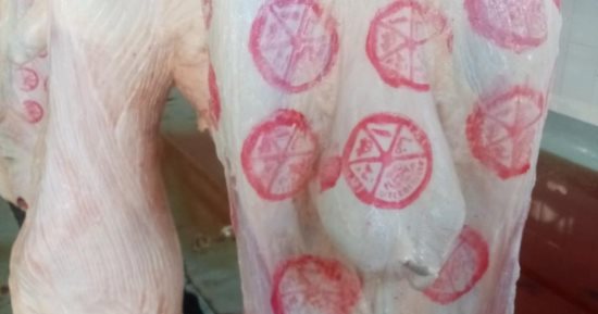 محافظ القاهرة: انتظام العمل بمجزر 15 مايو بكفاءة عالية بعد افتتاحه