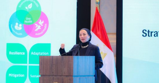 وزيرة البيئة: سنعمل على تكامل الإطار الاستراتيجي للتكيف الصحي مع تغير المناخ