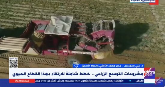 خبير: مشروعات التوسع الزراعى ساعدت على سد الفجوة وتحقيق الأمن الغذائى