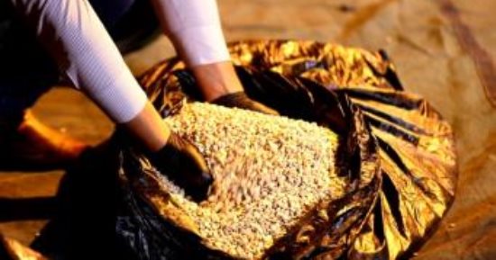 مطلوب تسليمه لأمريكا.. اعتقال وزير سابق في كوستاريكا بتهمة الاتجار بالمخدرات
