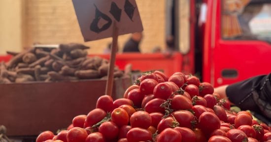 سعر كيلو الطماطم بـ 5 جنيهات بمعرض السلع الغذائية بالجيزة