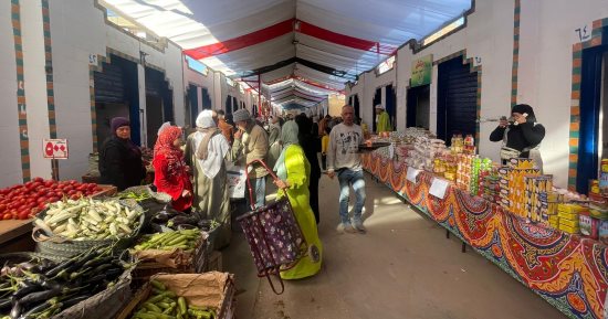 معرض محافظة الجيزة للسلع بحى جنوب يطرح كرتونة البيض بـ110 جنيهات