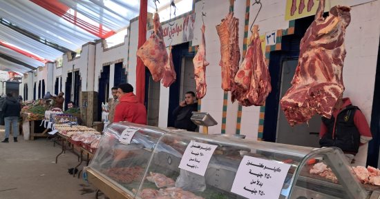 معرض محافظة الجيزة بحى جنوب يطرح اللحوم بأسعار مخفضة.. البلدى بـ280 جنيهًا