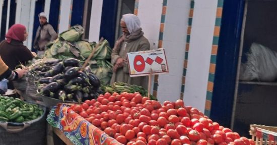 كيلو الطماطم بـ5 جنيهات فى معرض السلع والمستلزمات بحى جنوب الجيزة