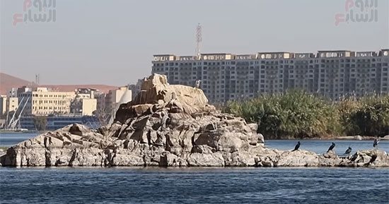 سياحة مراقبة الطيور المهاجرة تنتعش فى أسوان مع الشتاء