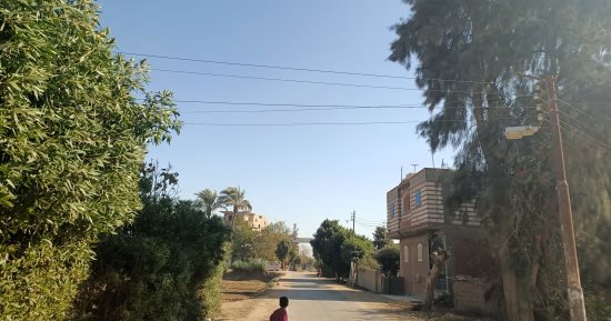 طقس اليوم الجمعة 27-12-2024 بالمنوفية.. برودة شديدة على معظم الأنحاء "فيديو"
