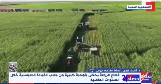 خبير: الدولة اتخذت سياسات عديدة لتخطى أزمات القطاع الزراعى