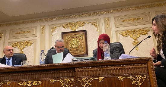 اقتراحات النواب توافق على مقترح نائبة التنسيقية بشأن استراتيجية ريادة الأعمال