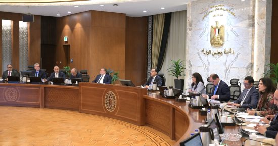 رئيس الوزراء يترأس اجتماع لجنة الطروحات الحكومية لمتابعة موقف طرح الشركات المستهدفة.. ومصطفى مدبولى: توجيه من الرئيس بالإسراع في تنفيذ الإجراءات المتعلقة بطرح الشركات الأربع التابعة للقوات المسلحة