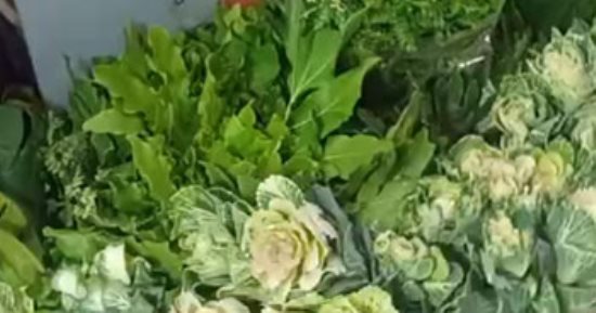 شاهد.. أجمل بوكيهات الورد بكفر الشيخ احتفالا بالعام الميلادي الجديد