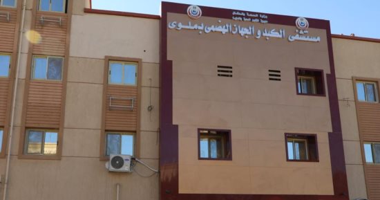 محافظ المنيا يشهد تشغيل أول مستشفى تخصصى للكبد والجهاز الهضمى بملوى 