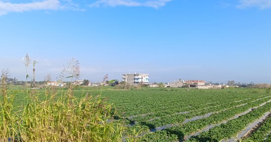 الطقس اليوم الثلاثاء 31 ديسمبر 2024 بالإسماعيلية.. سطوع الشمس ورياح باردة