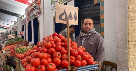 الطماطم بـ5 جنيهات.. تخفيضات على الخضراوات فى معرض محافظة الجيزة للسلع 