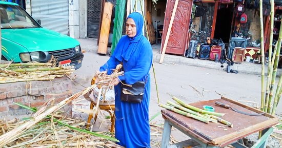 حكاية أم فارس أشهر بائعة قصب فى البحيرة.. 25 عاما فى المهنة من أجل أسرتها.. وتؤكد: من صغرى فى الشغلانة ونفسى أعمل مشروع خاص بيا.. وعيد الغطاس شعبى مش دينى بس وببيع فيه القصب للمسلمين والأقباط