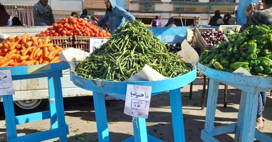 أسعار الخضراوات والفواكه والدواجن اليوم الإثنين 6-1-2025 بأسواق جنوب سيناء
