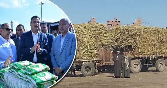 بشائر إنتاج السكر المحلى من القصب.. مصنع أبو قرقاص بالمنيا يعود للعمل بقوة.. وزارة التموين تستمر فى تخفيض سعر السكر بالمنافذ.. والقابضة للصناعات الغذائية تيسر للمزارعين توريد القصب لنجاح الموسم.. صور