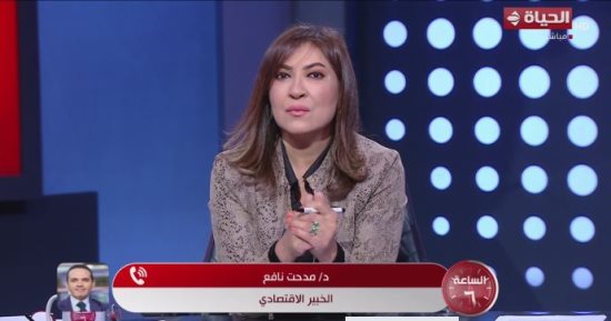 خبير اقتصادى: أفضل استثمار وضع الأموال فى نشاط إنتاجى دورة الاستثمار فيه سريعة