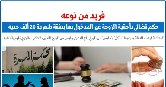 حكم قضائى فريد من نوعه بأحقية الزوجة غير المدخول بها بنفقة شهرية.. برلمانى