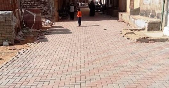 تطوير مدينة كفر الشيخ برصف الطرق بالإسفلت والإنترلوك وأعمال التشجير